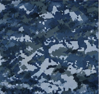 US Navy Camo