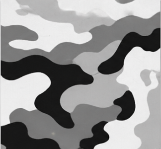 Urban Camo
