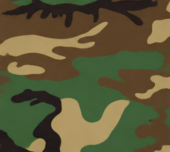 Woodland Camo
