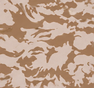Desert Camo